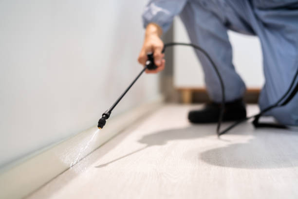 Licensed Cockroach Control service in Carpendale, WV - Nex Pest Control