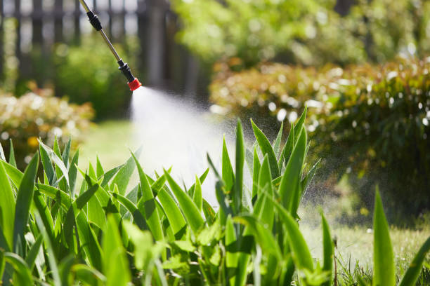 24/7 Emergency Cockroach Control experts in Carpendale, WV