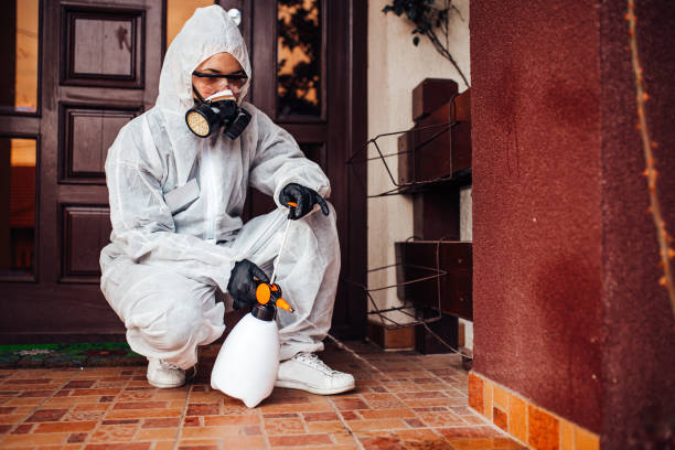 Reliable Cockroach Control contractor in Carpendale, WV by Nex Pest Control