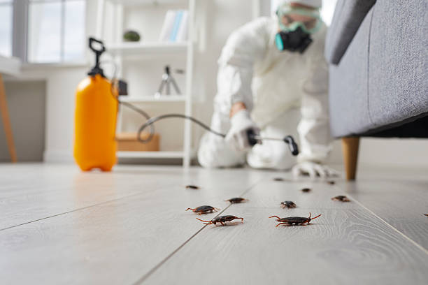 Trusted Cockroach Control service in Carpendale, WV - Nex Pest Control